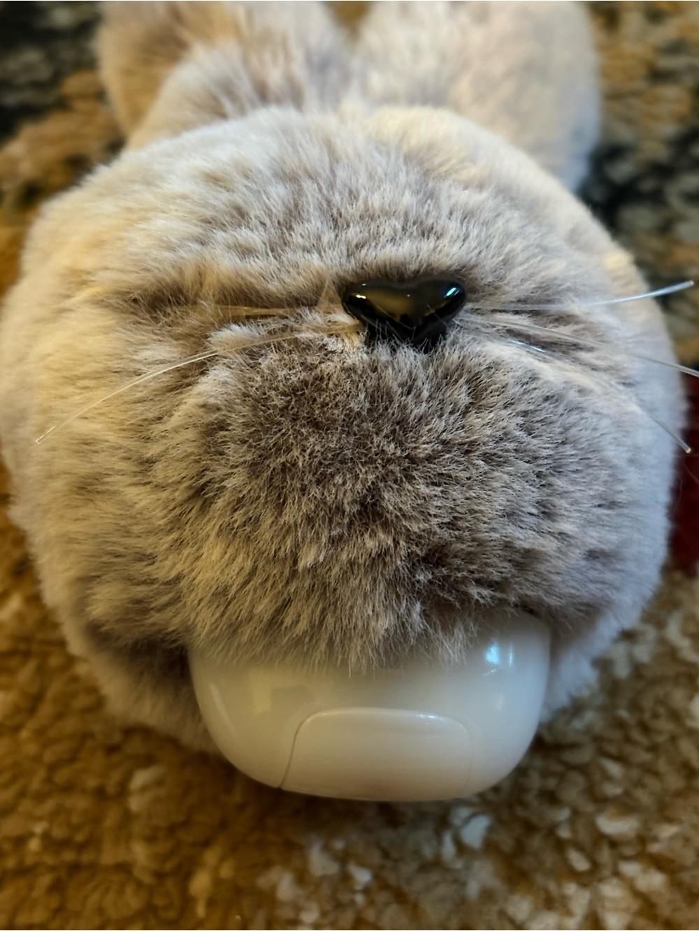 Bath & Body Works Bunny Head sanitizer holder and sanitizer